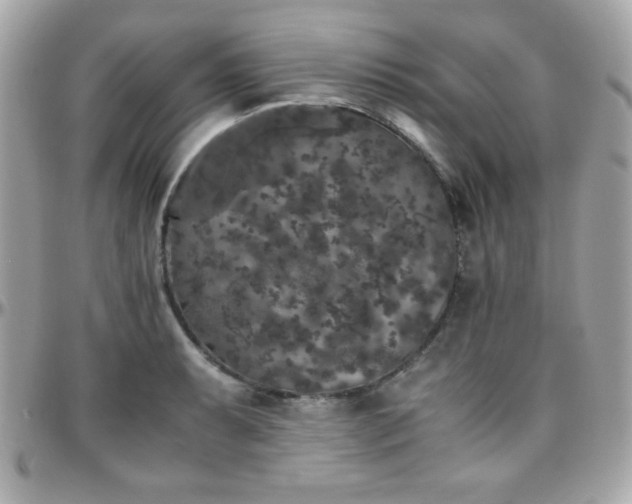 X0000096421087200801241312