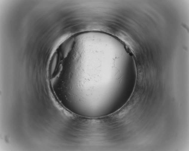 X0000096421088200801241312