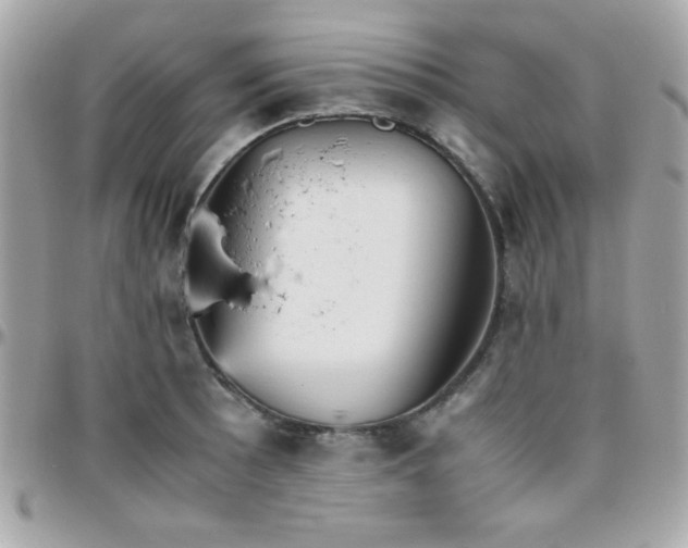 X0000096421089200801241312