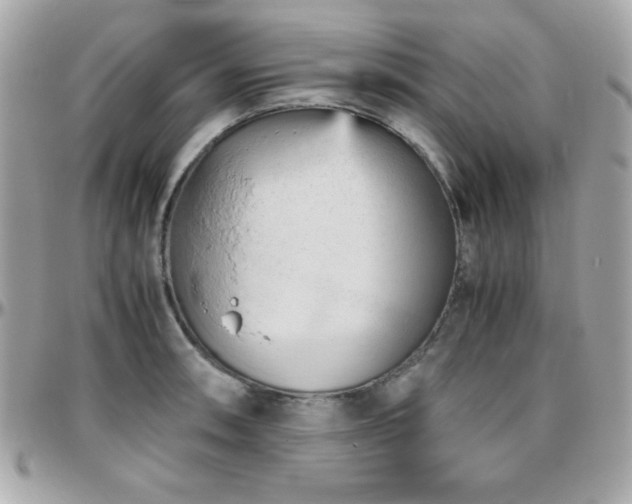 X0000096421090200801241312