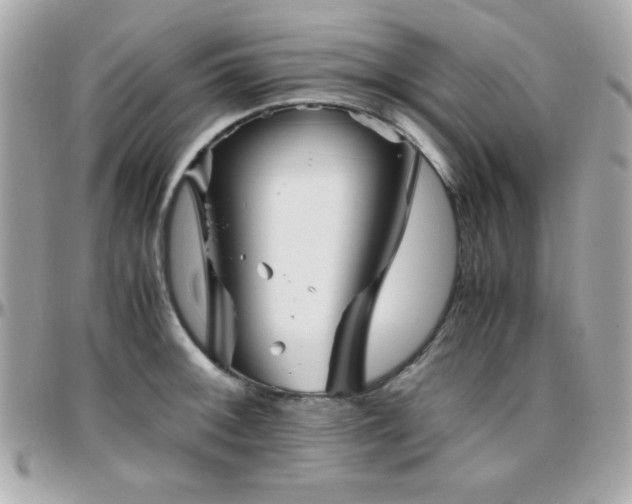 X0000096421092200801241312
