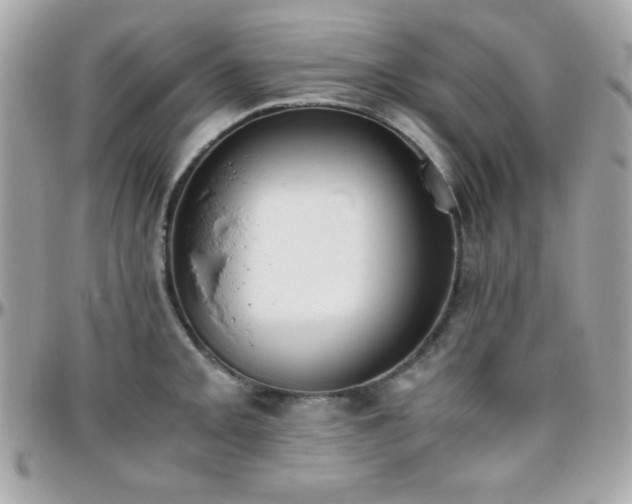 X0000096421093200801241312