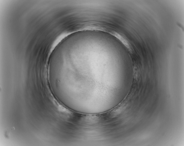 X0000096421094200801241312