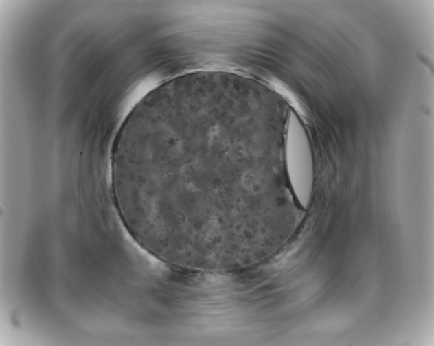 X0000096421095200801241312