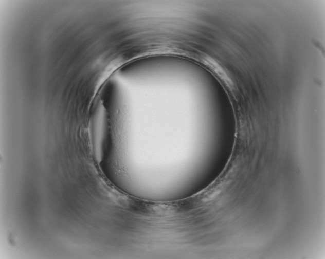 X0000096421097200801241312