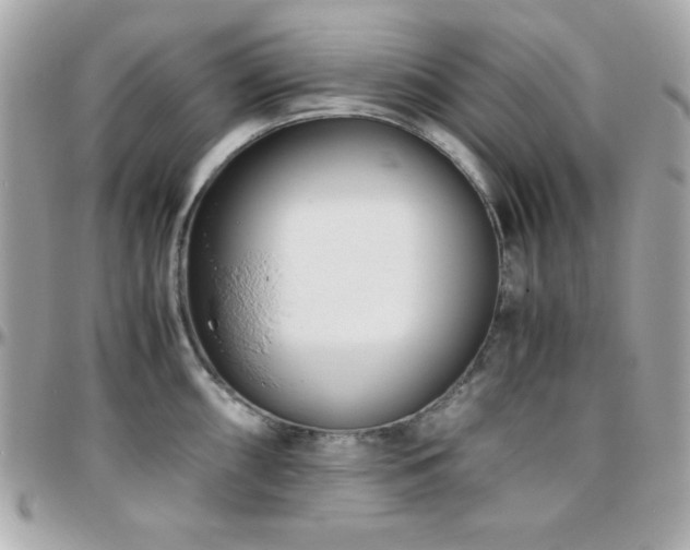 X0000096421098200801241312