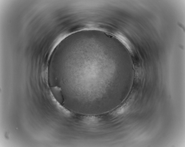 X0000096421100200801241312