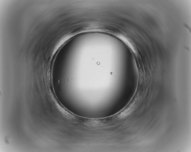 X0000096421101200801241312