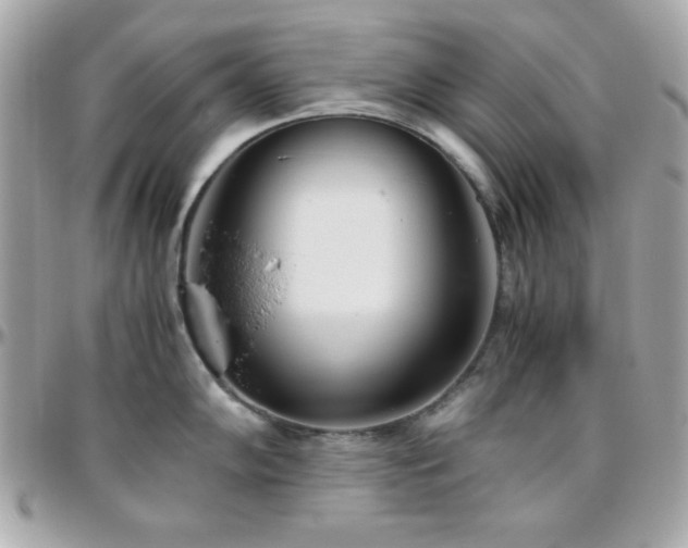X0000096421102200801241312