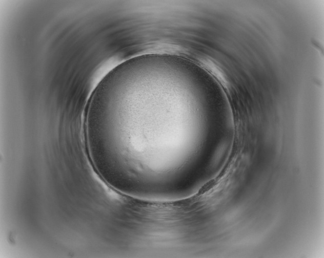X0000096421103200801241312