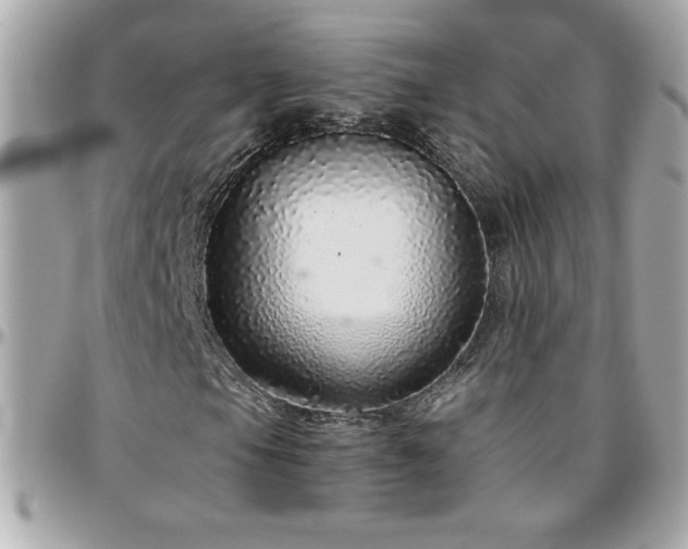 X0000096421105200801241311