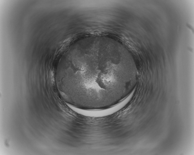 X0000096421106200801241311