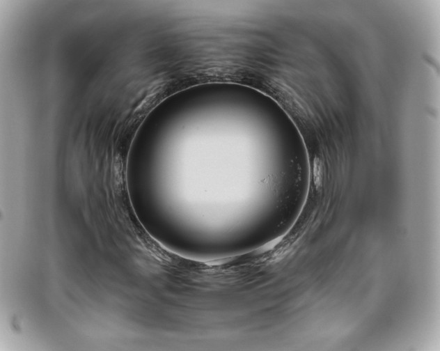 X0000096421107200801241311