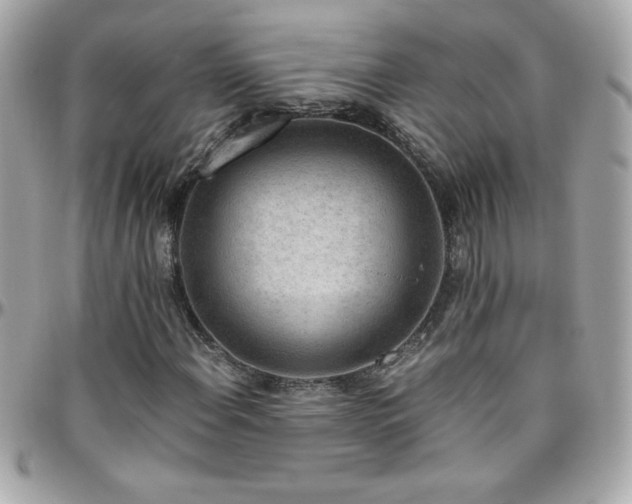 X0000096421108200801241311