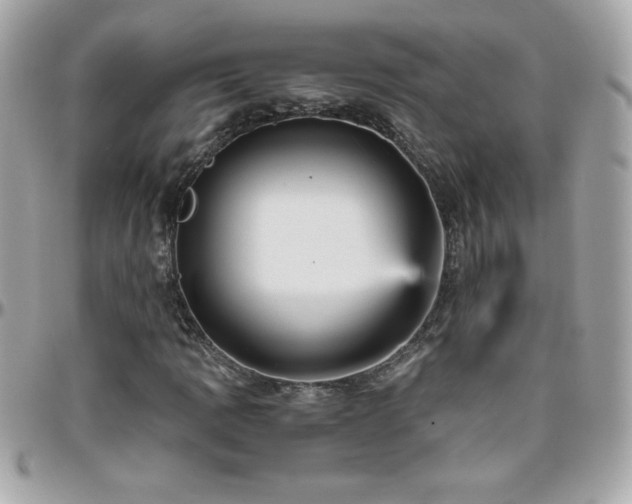X0000096421109200801241311
