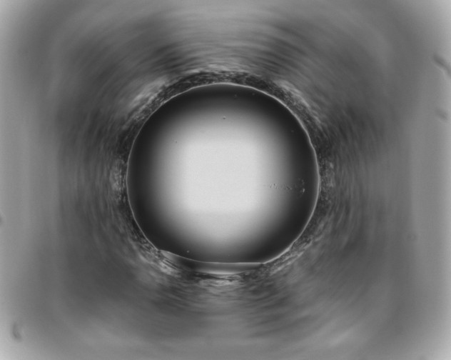 X0000096421110200801241311