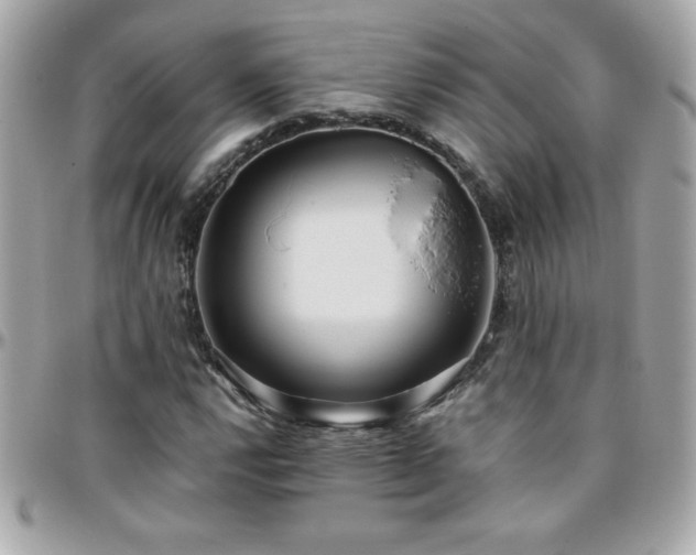 X0000096421112200801241311