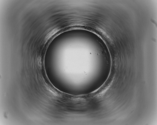 X0000096421113200801241311