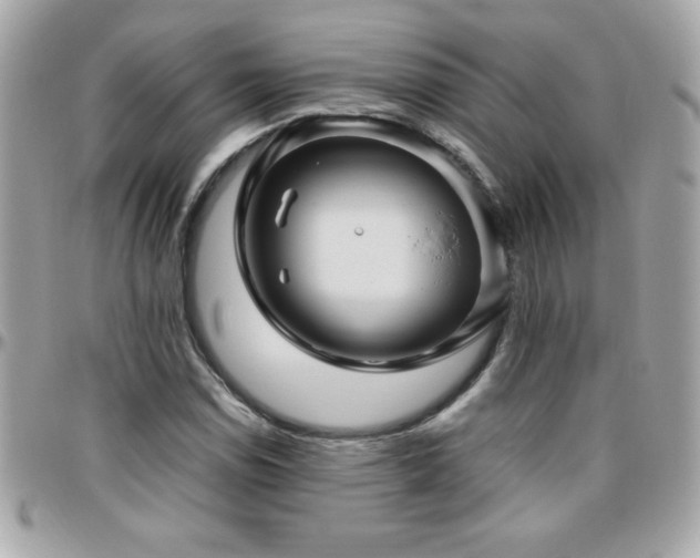 X0000096421114200801241311