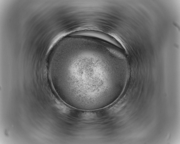 X0000096421115200801241311