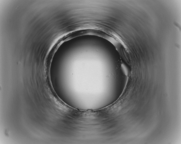 X0000096421116200801241311