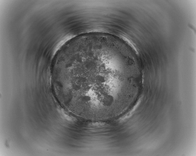 X0000096421117200801241311