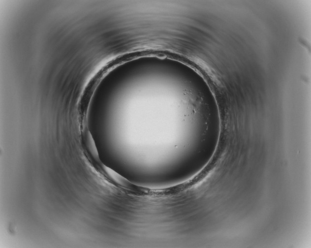 X0000096421118200801241311