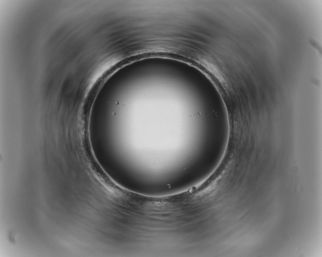 X0000096421119200801241311