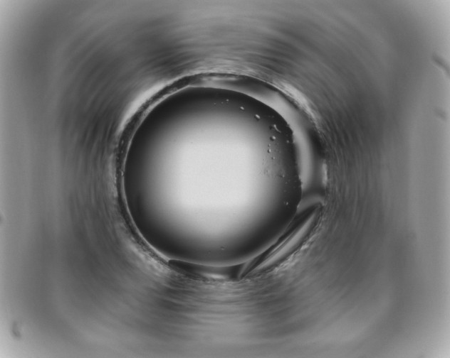 X0000096421120200801241311