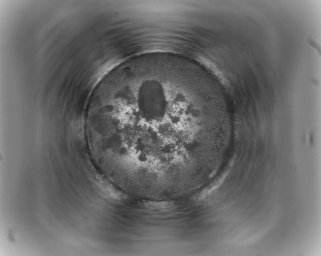 X0000096421121200801241311