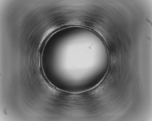 X0000096421123200801241311