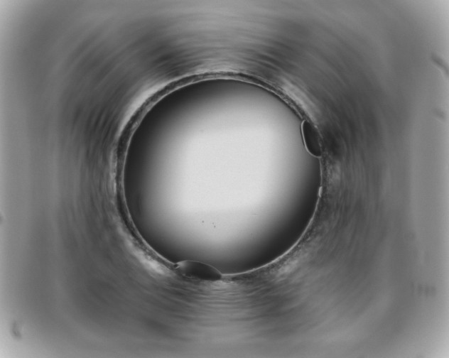 X0000096421124200801241311
