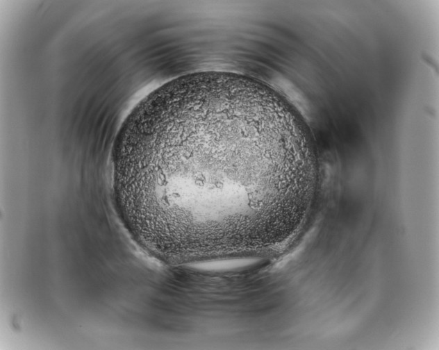 X0000096421125200801241311