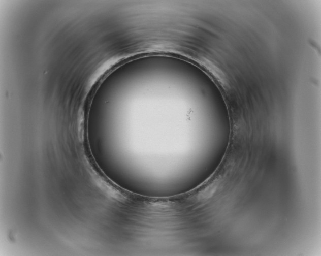 X0000096421126200801241311