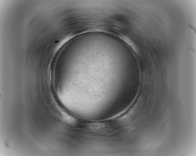 X0000096421127200801241311