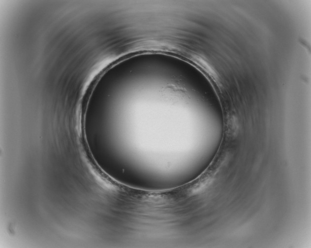 X0000096421128200801241311