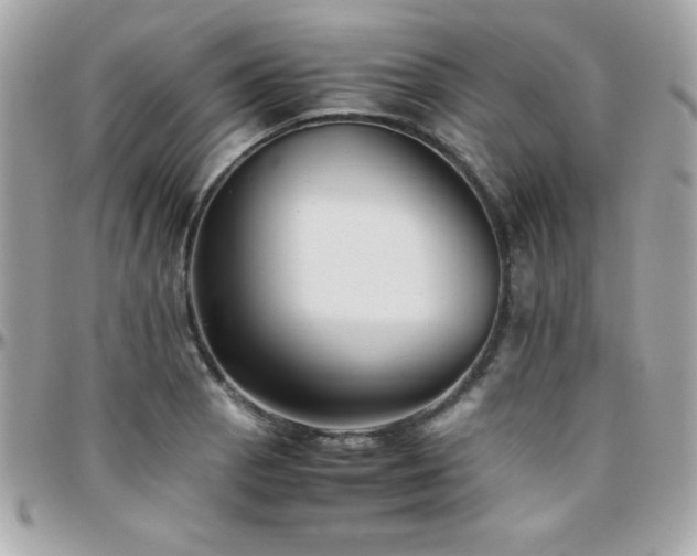 X0000096421129200801241311