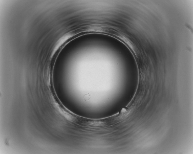 X0000096421131200801241311