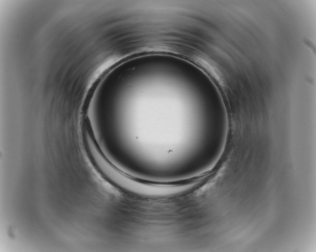 X0000096421133200801241311