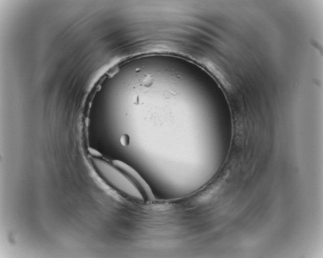 X0000096421134200801241311