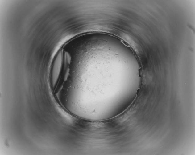 X0000096421136200801241311