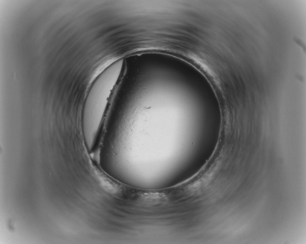 X0000096421137200801241311