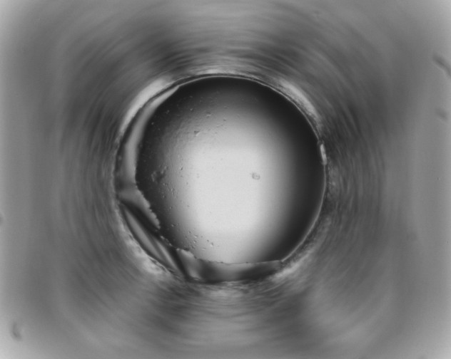 X0000096421138200801241311