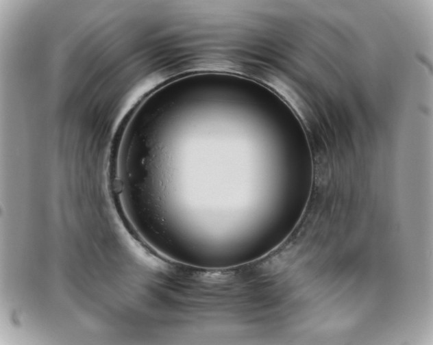 X0000096421139200801241311