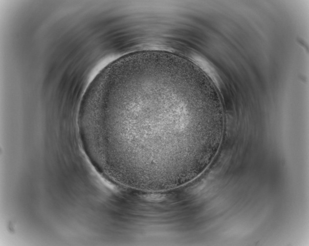 X0000096421141200801241311
