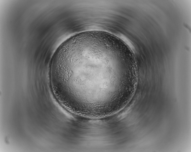X0000096421142200801241311