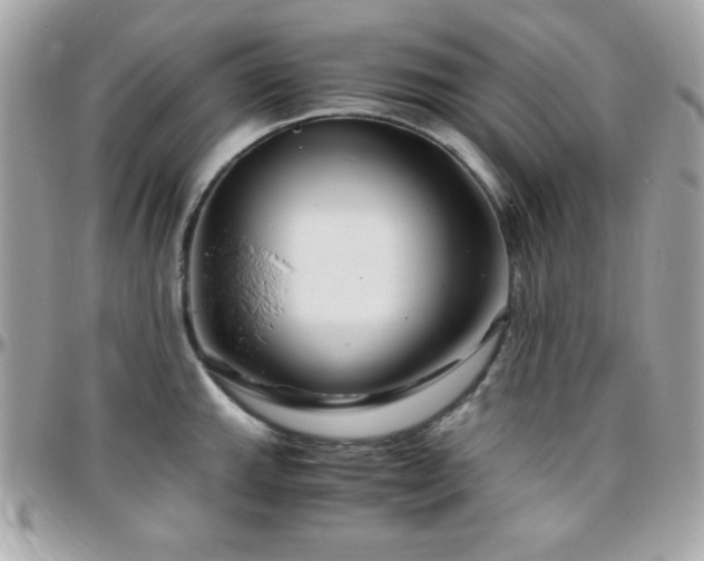 X0000096421143200801241311