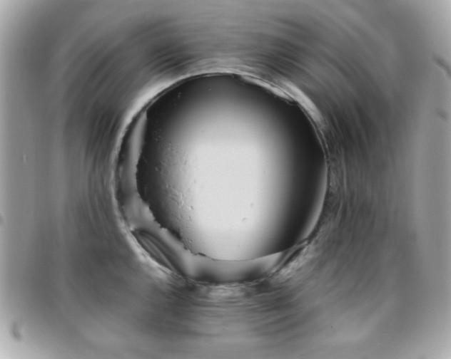 X0000096421144200801241311