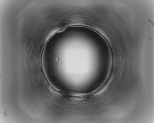 X0000096421145200801241311