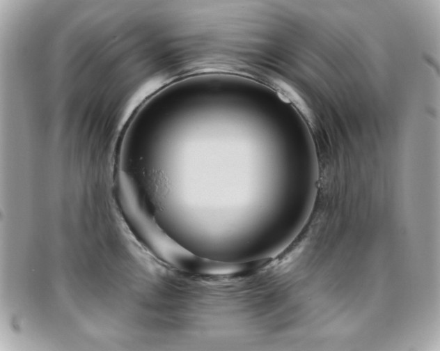X0000096421146200801241311